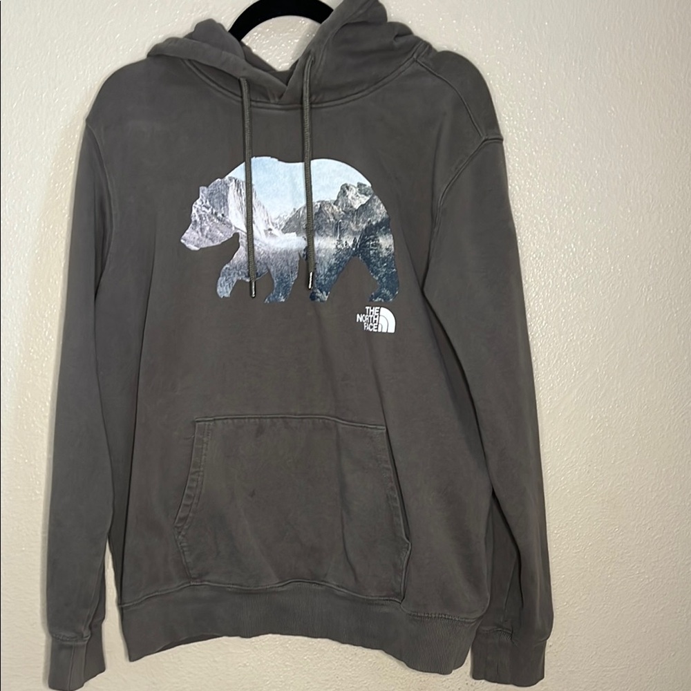 The North Face Gray Bear Graphic Men's Hoodie